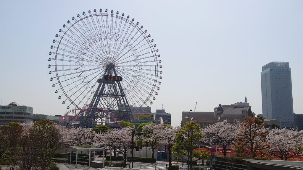 桜と観覧車（みなとみらい）