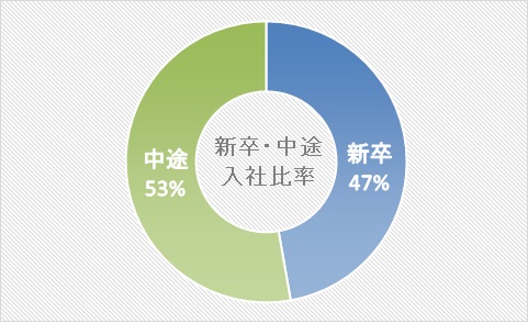 新卒・中途比率